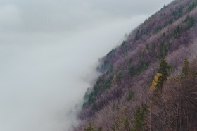 欧陆娱乐系列标准版配置解析：大底长焦缺失对玩家体验的影响